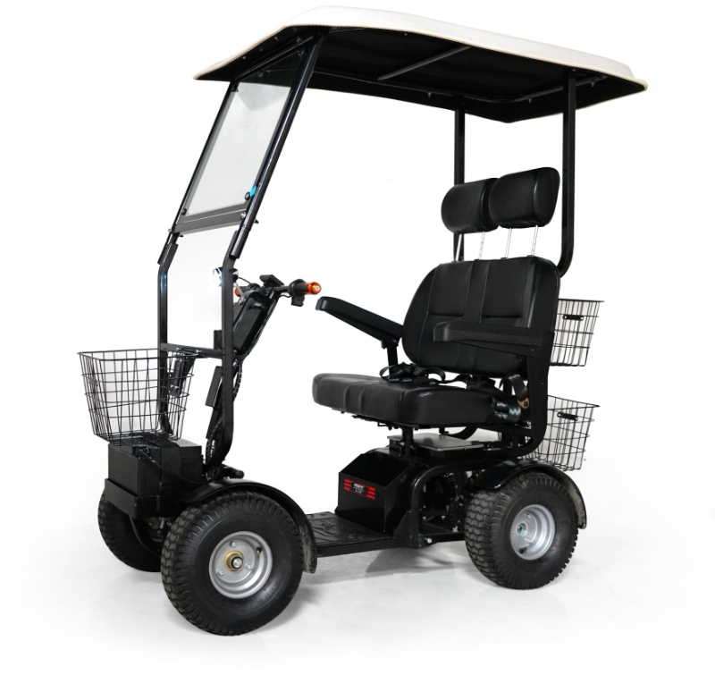 Green Transporter Cheeta Ninja Mobility Golf Cart All Terrain 4-Wheel 48V 1000W New