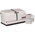 Champion 100176 Home Standby Generator 12.5kW Nema 1 Transfer Switch