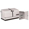 Champion 100179 Home Standby Generator 12.5kW Nema 3 Transfer Switch